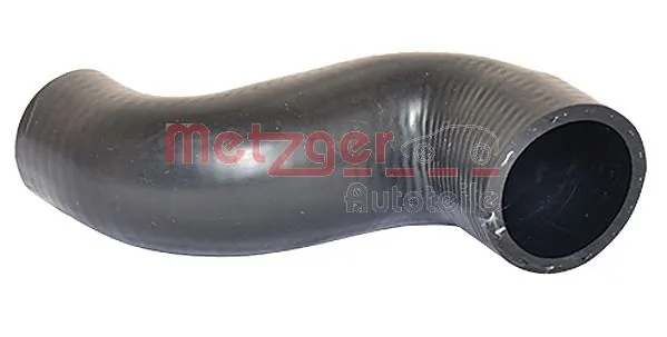 2420208 Metzger
