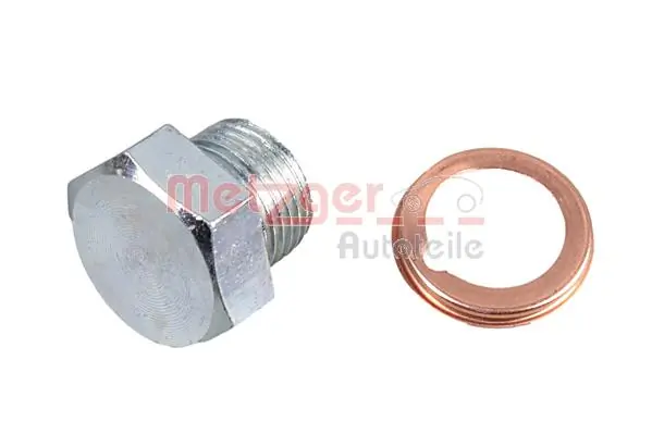 8030076 Metzger
