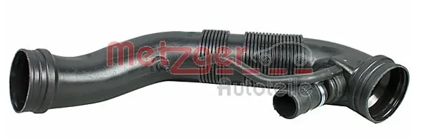 2388007 Metzger