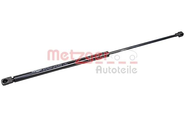 2110593 Metzger