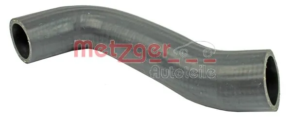 2400099 Metzger