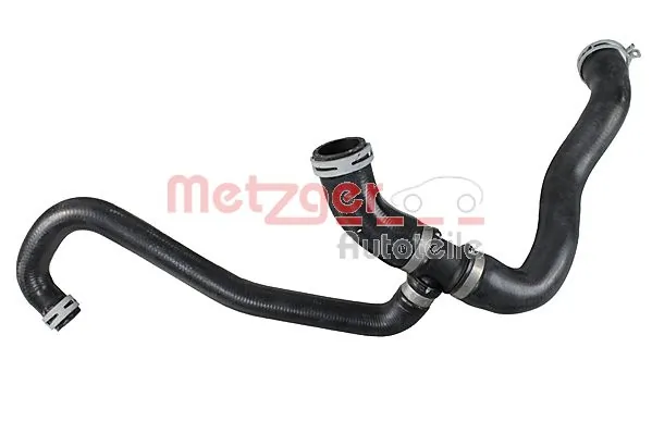 2421261 Metzger