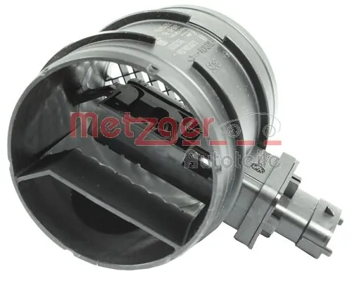 0890338 Metzger