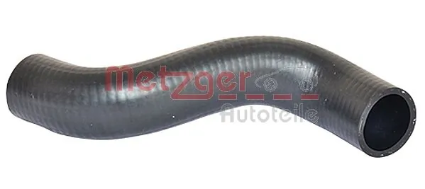2420133 Metzger