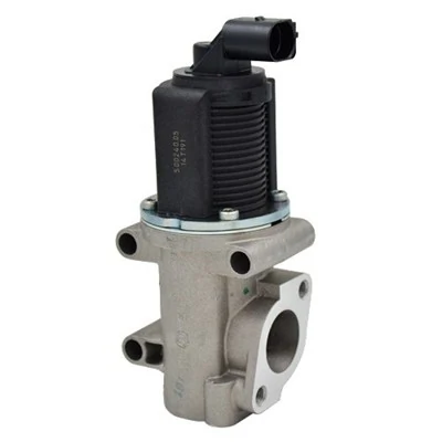 571822112007 Magneti Marelli