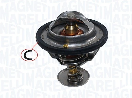 Termostato 6000611040 Fiat/Alfa/Lancia