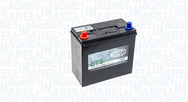 310819E Subaru Bateria recarregável (PILHA)