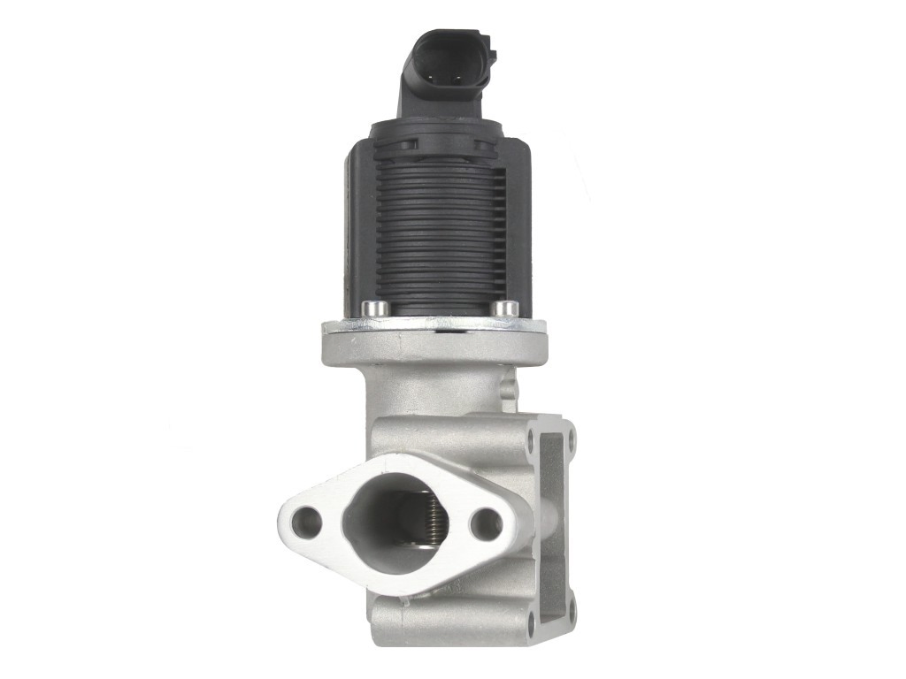 Válvula EGR de recirculação dos gases para Fiat Bravo II 198