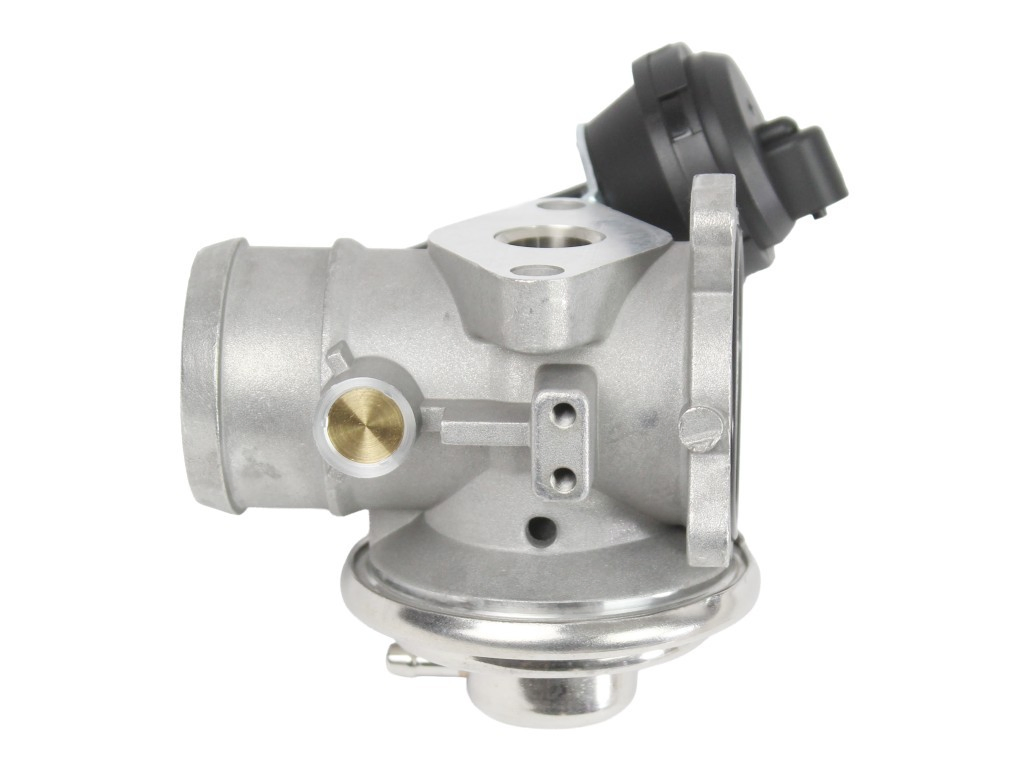 Compre Válvula EGR de recirculação dos gases Volkswagen Passat 