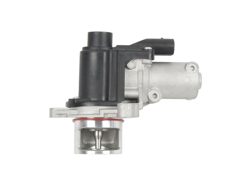 Compre Válvula EGR de recirculação dos gases Hyundai Santa Fe 3