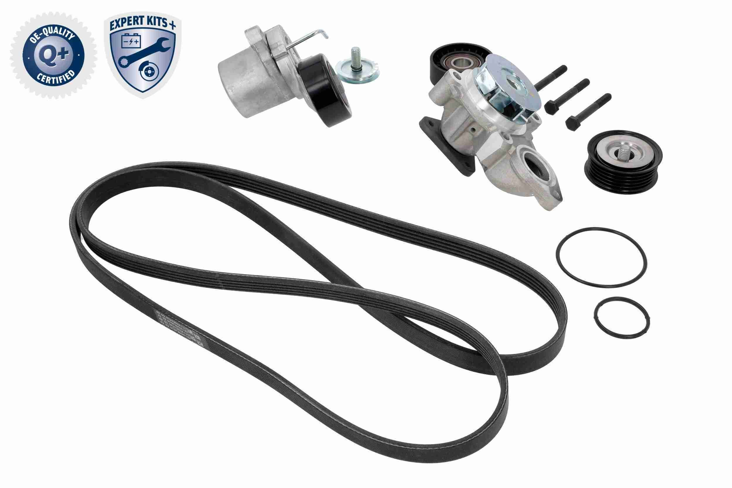 Correia dos conjuntos de transmissão, kit para KIA Rio JB