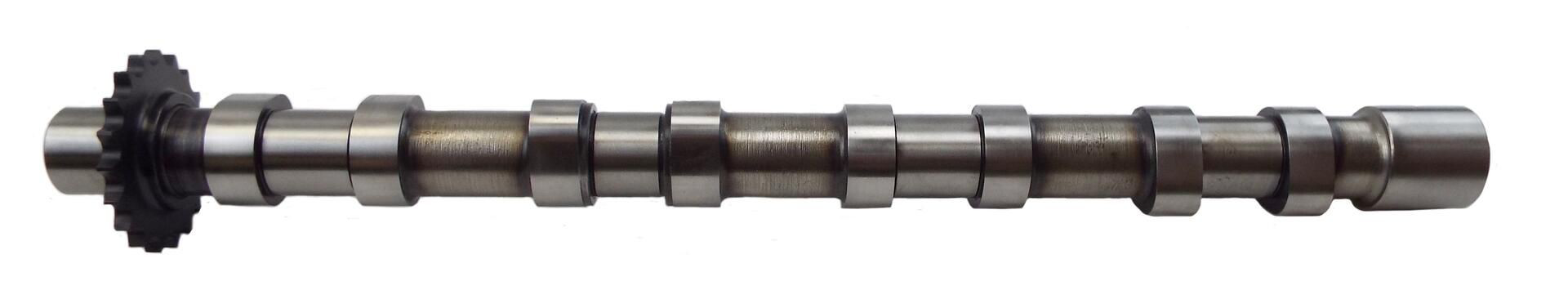  Árvore distribuidora de motor de admissão Land Rover Freelander II SUV (L359) (2006 - 2014) II