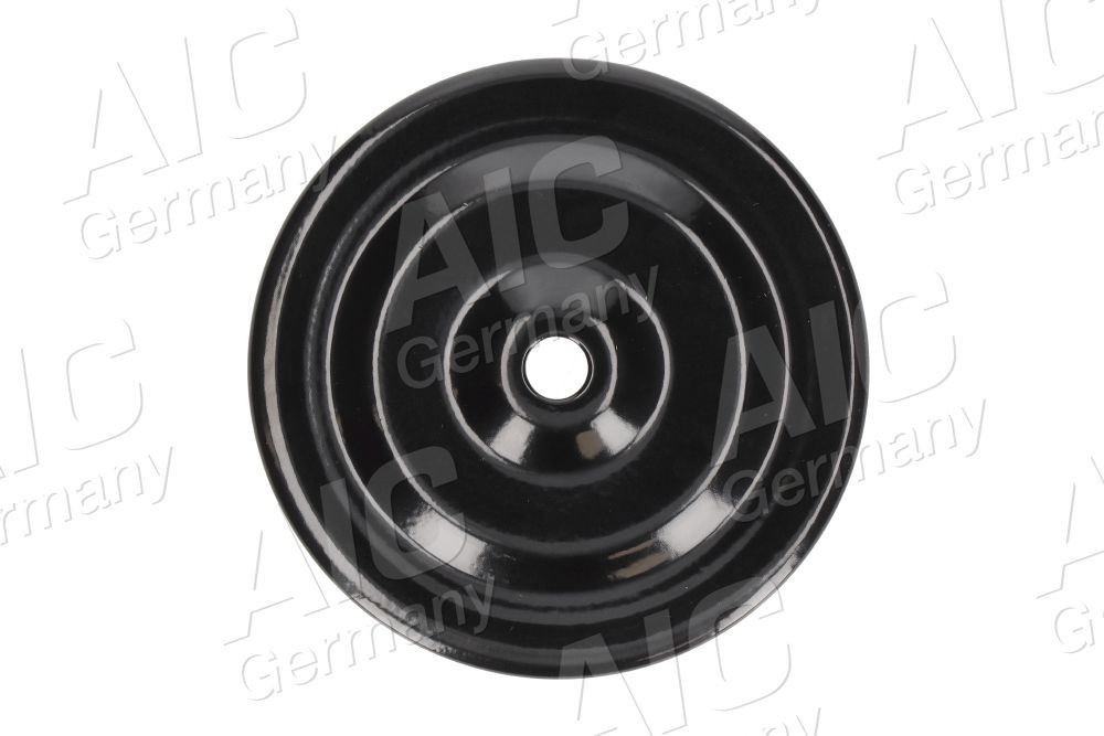 Disco superior metálico de mola traseira 50200 AIC