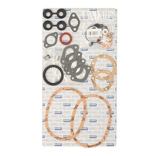 Kit de vedantes de motor completo 50000500 Ajusa