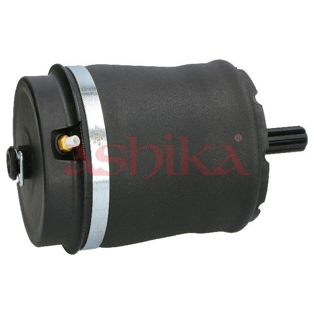 Compre MAAS036 Ashika Coxim pneumático (suspensão de lâminas pneumática) do eixo traseiro