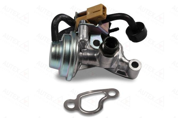 959164 Autex