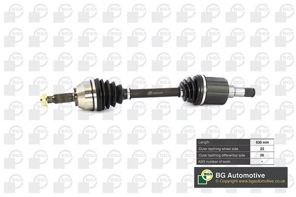 DS2300L BGA