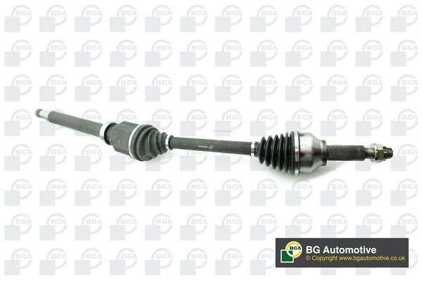 DS2318R BGA