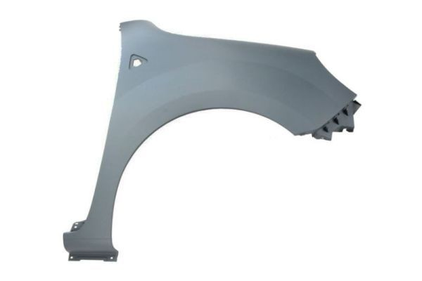 Pára-lama dianteiro direito para Renault Kangoo II FW0