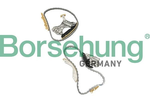 B18845 Borsehung 