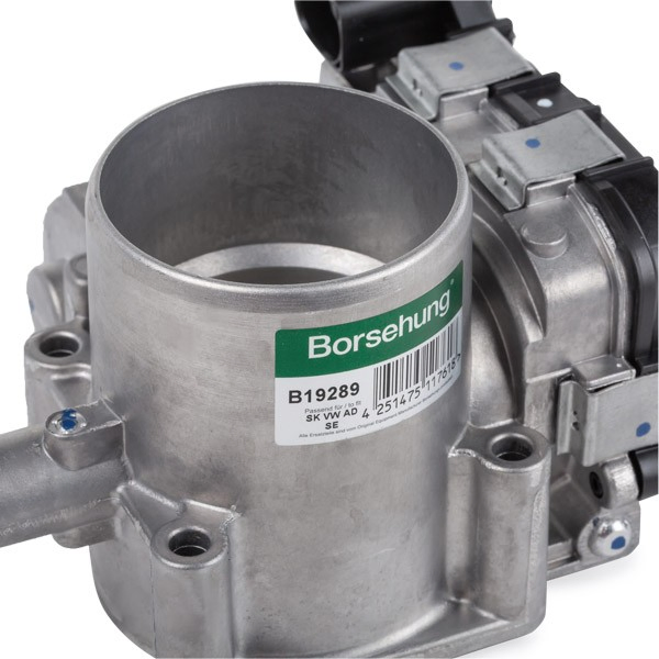  Borsehung B19289