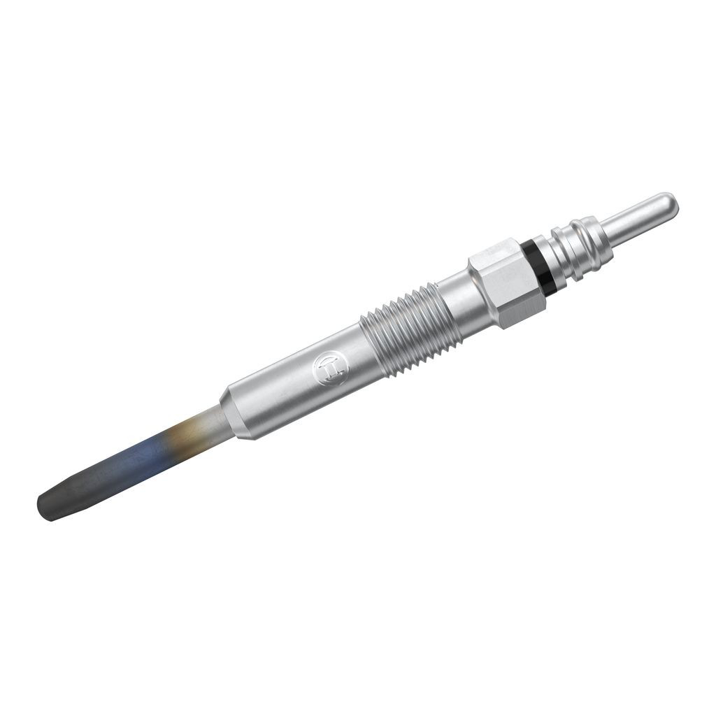 0250202023 Bosch Vela de incandescência