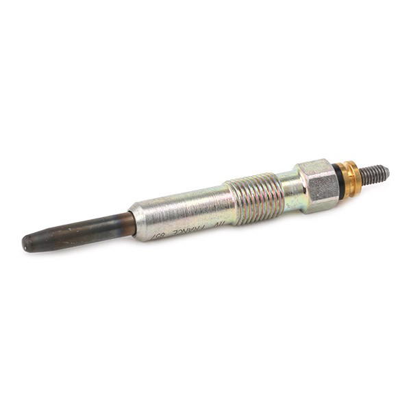 0250202025 Bosch Vela de incandescência