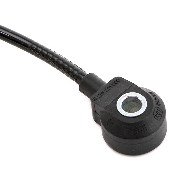  Bosch 0261231038