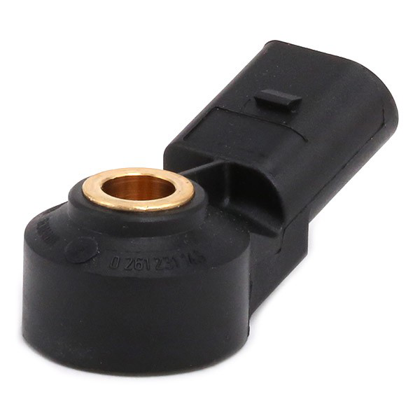 0261231146 Bosch Sensor de detonação