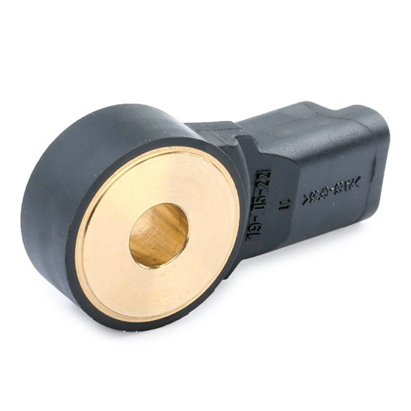 0261231197 Bosch Sensor de detonação