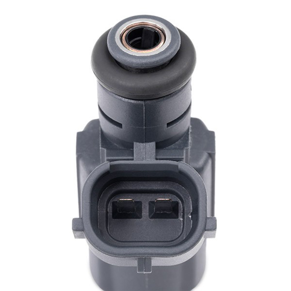 Injetor de injeção de combustível ENT900059 Engitech
