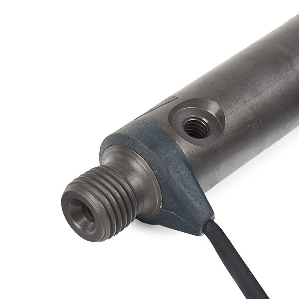 0432193619 Bosch Injetor de injeção de combustível