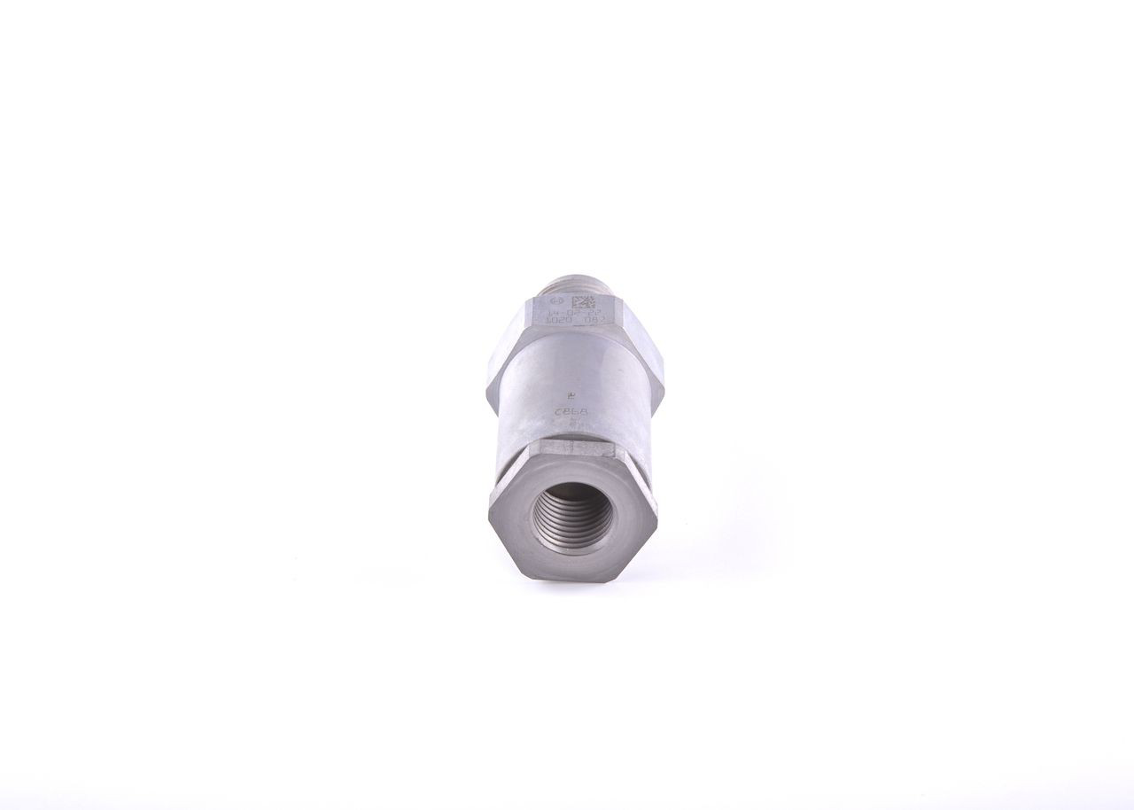 1110010020 Bosch Regulador de pressão de combustível na régua de injectores