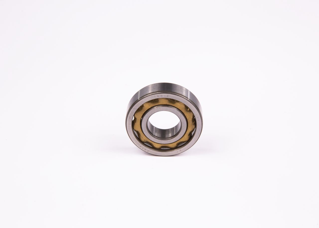  Bosch 1900900018