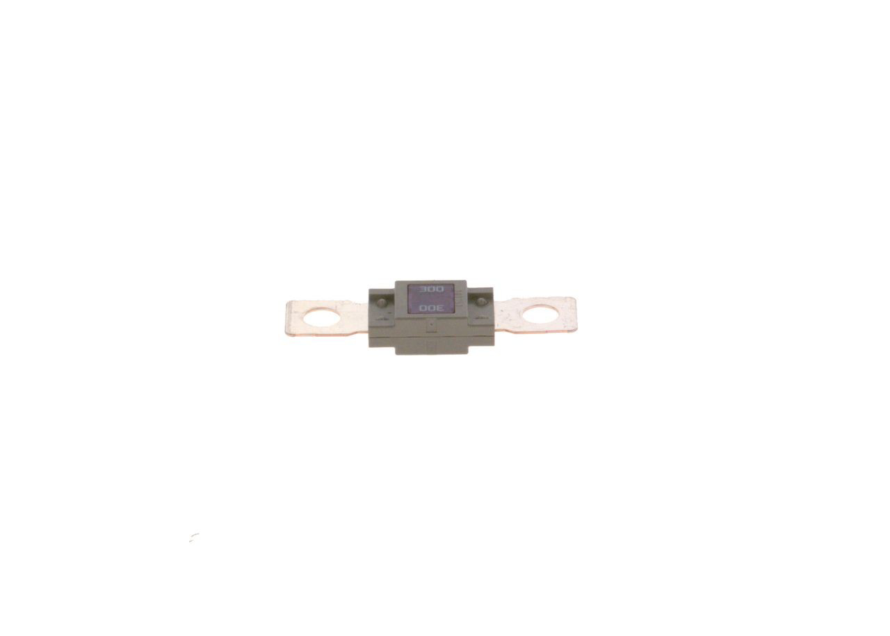 Dispositivo de segurança 1987531007 Bosch