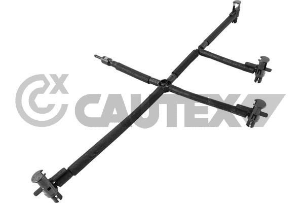 480497 Cautex
