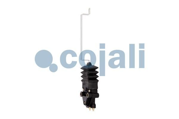  7420746483 Renault (RVI)
