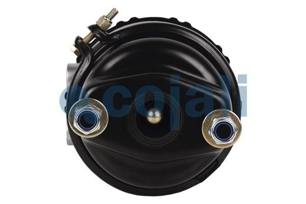 Compre 81504106935 MAN Câmara do freio (Acumulador de energia)