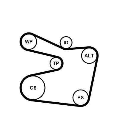 Correia dos conjuntos de transmissão, kit BMW 3  E36