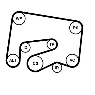 Correia dos conjuntos de transmissão, kit Mercedes ML/GLE  W166