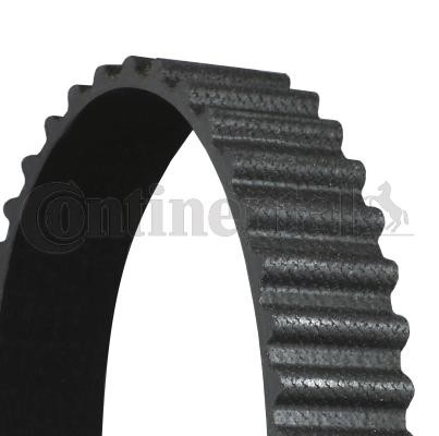 Correia do mecanismo de distribuição de gás Continental/Siemens CT1050 preço, a partir de 38,12 USD