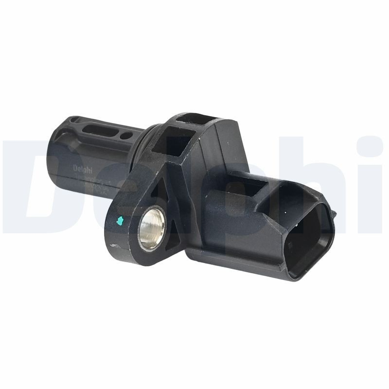 SS1233612B1 Delphi
