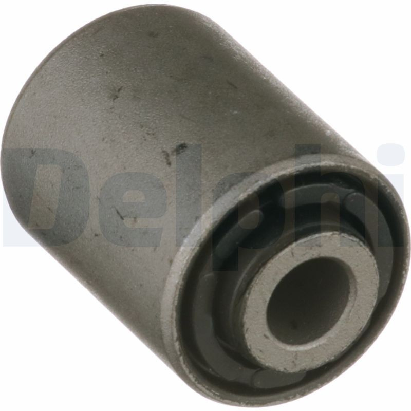 TD1679W Delphi Bloco silencioso dianteiro do braço oscilante inferior