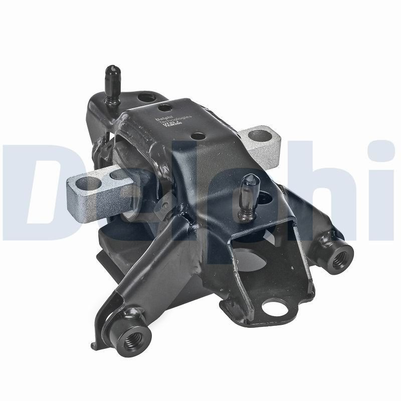 TEM266 Delphi