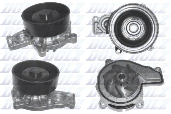 B253 Dolz