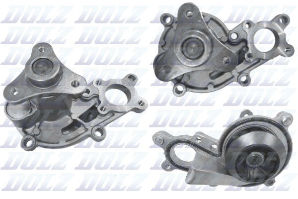 B258 Dolz