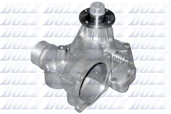 B319 Dolz