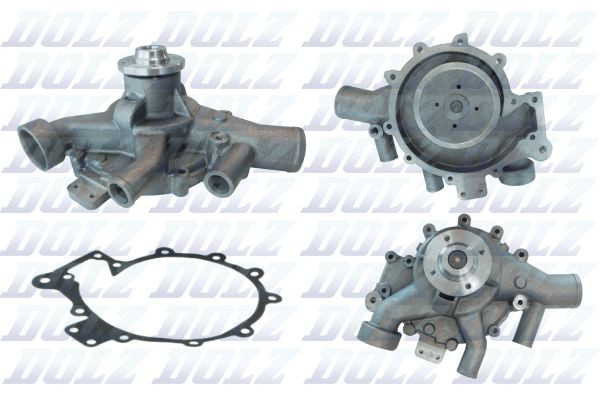 D319 Dolz