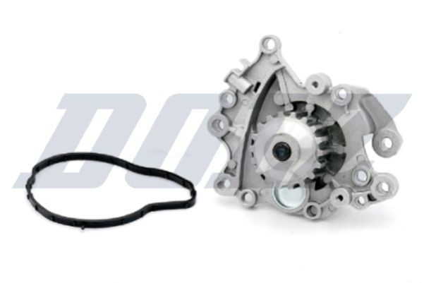 N210 Dolz