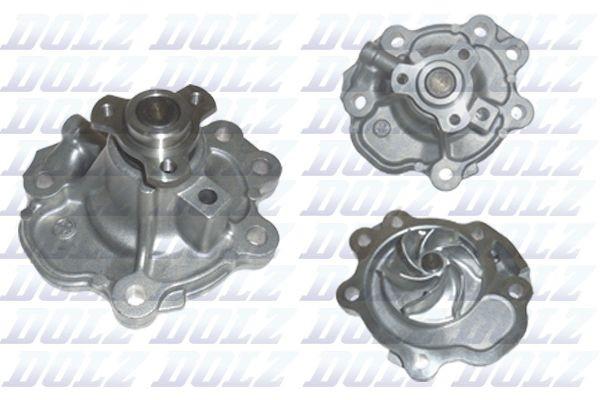 S362 Dolz